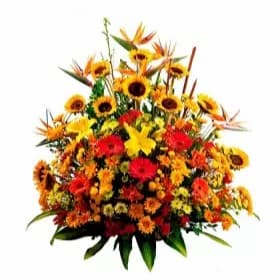 Arreglo para Aniversario con Flores y Girasoles - Cod:AGP01