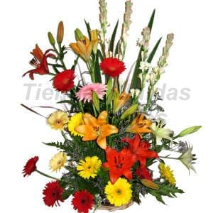 Resultados de búsqueda
Resultados de la Web

Arreglos Florales para Eventos Empresariales | Arreg - Cod:CPT12